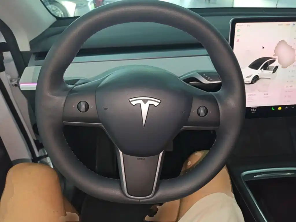 Tesla Model Y — миниатюра 11