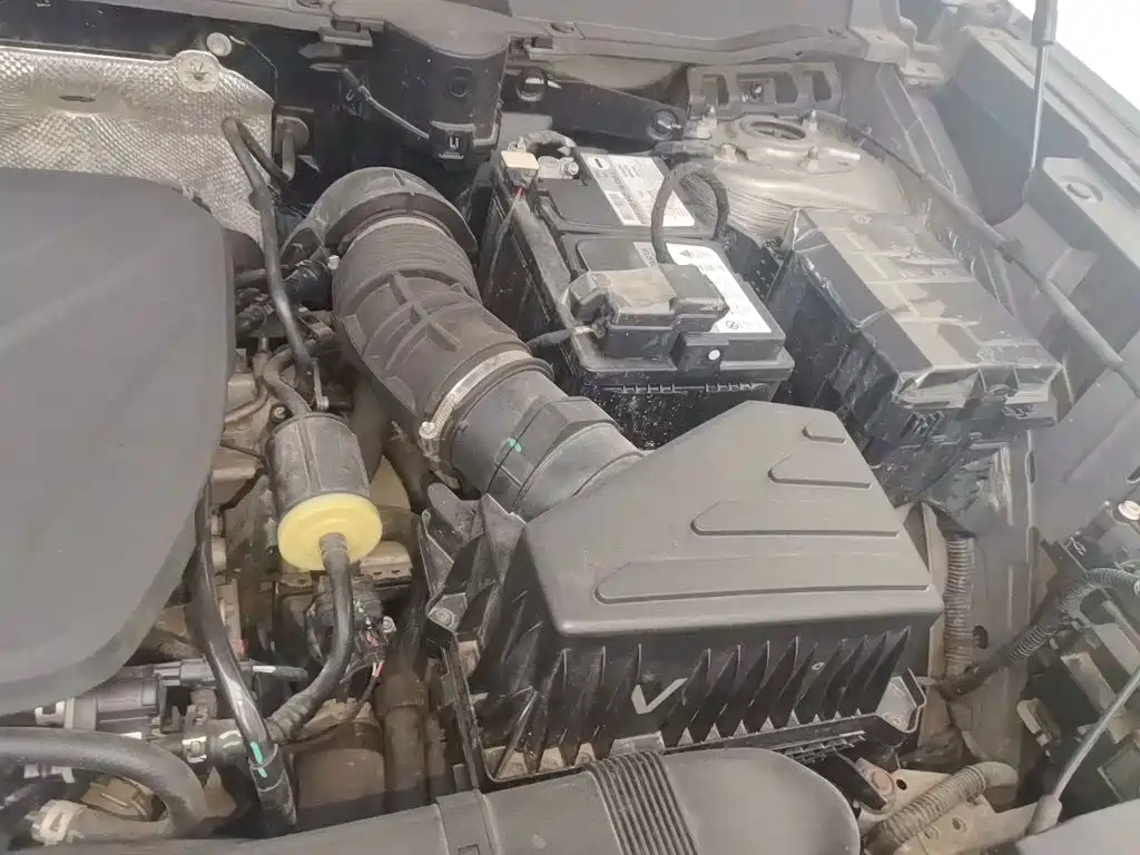 Haval Big Dog PLUS — миниатюра 21