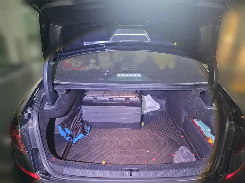 Volkswagen Passat — миниатюра 15