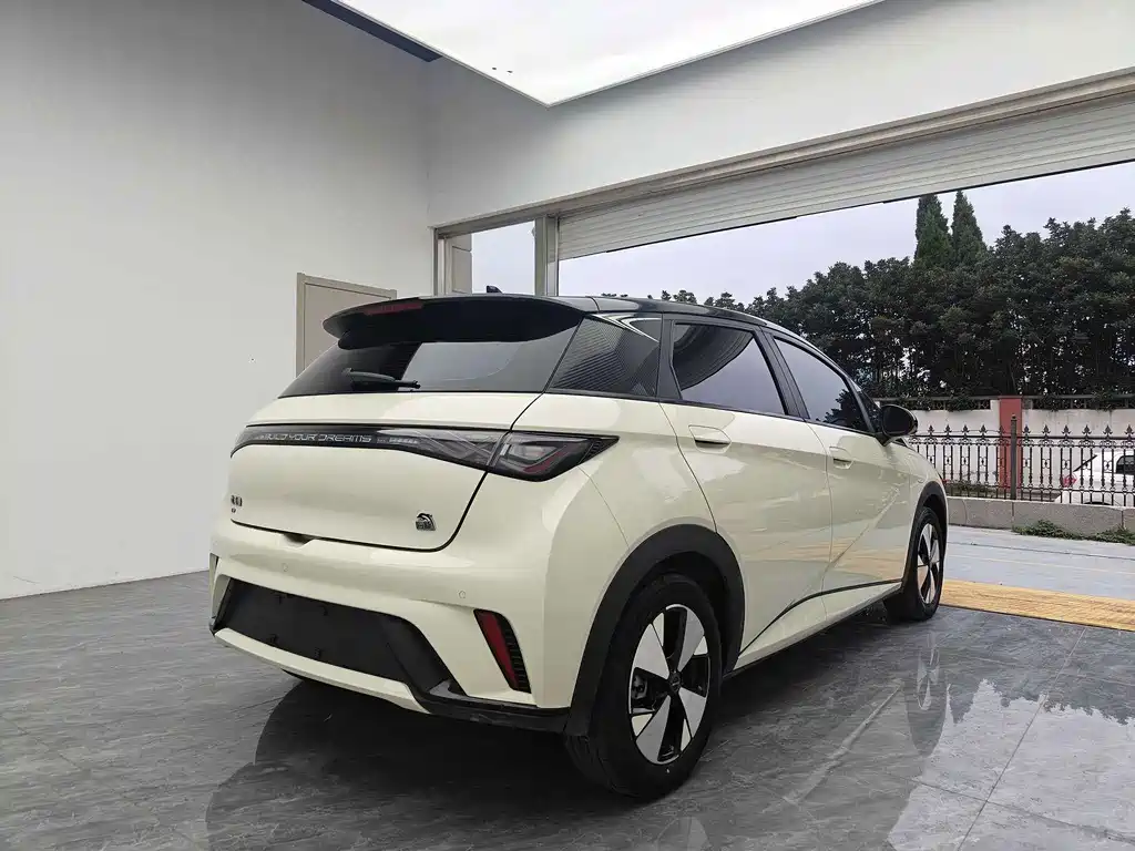 BYD Dolphin — миниатюра 5