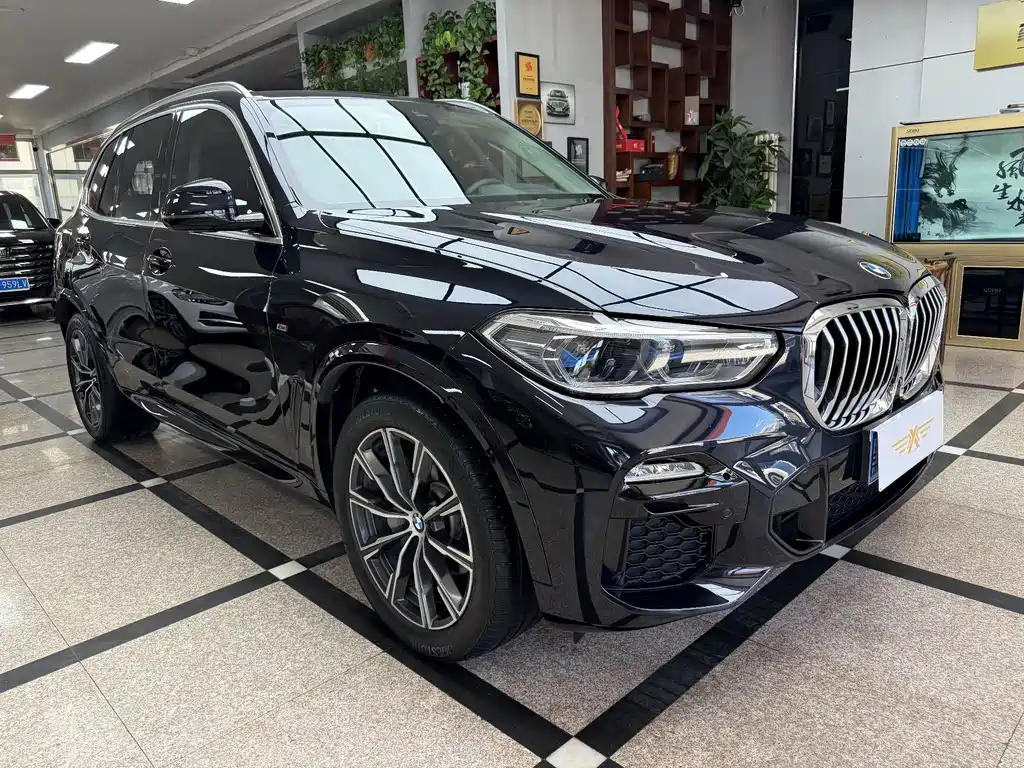 BMW X5 (Import) — миниатюра 3