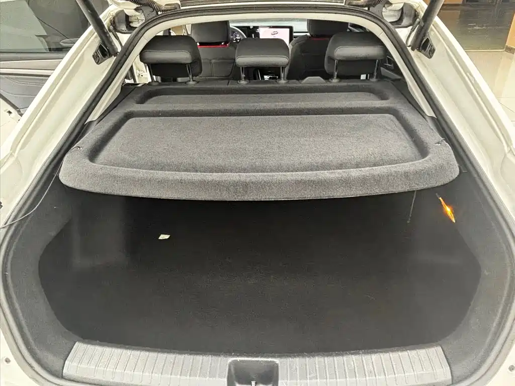 Volkswagen Lamando — миниатюра 10
