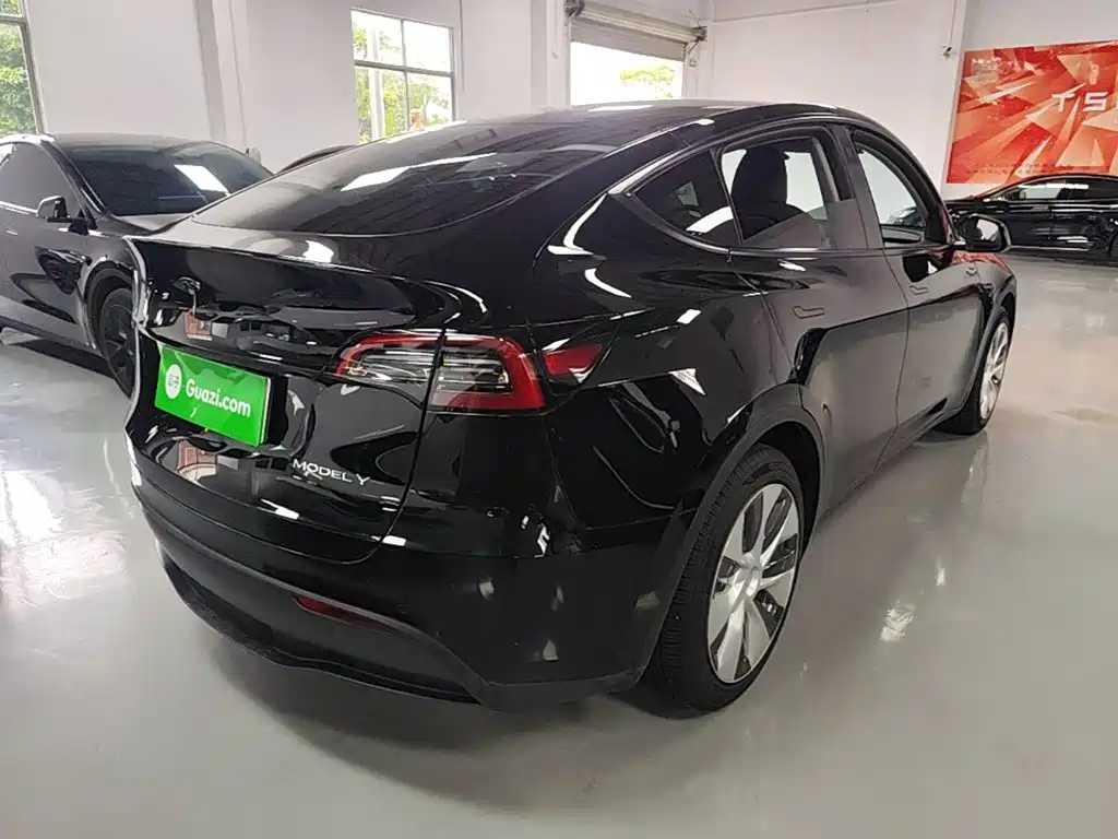 Tesla Model Y — миниатюра 7