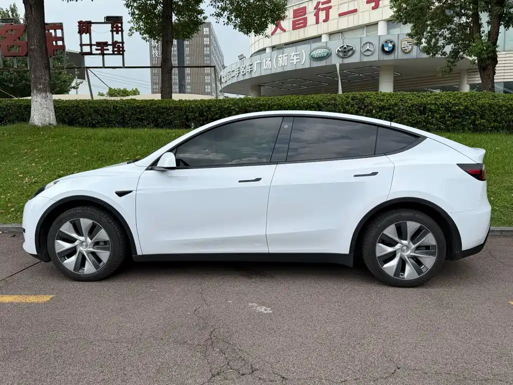 Tesla Model Y — миниатюра 3