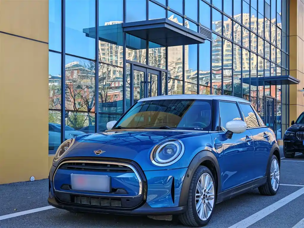 Mini Mini 2021