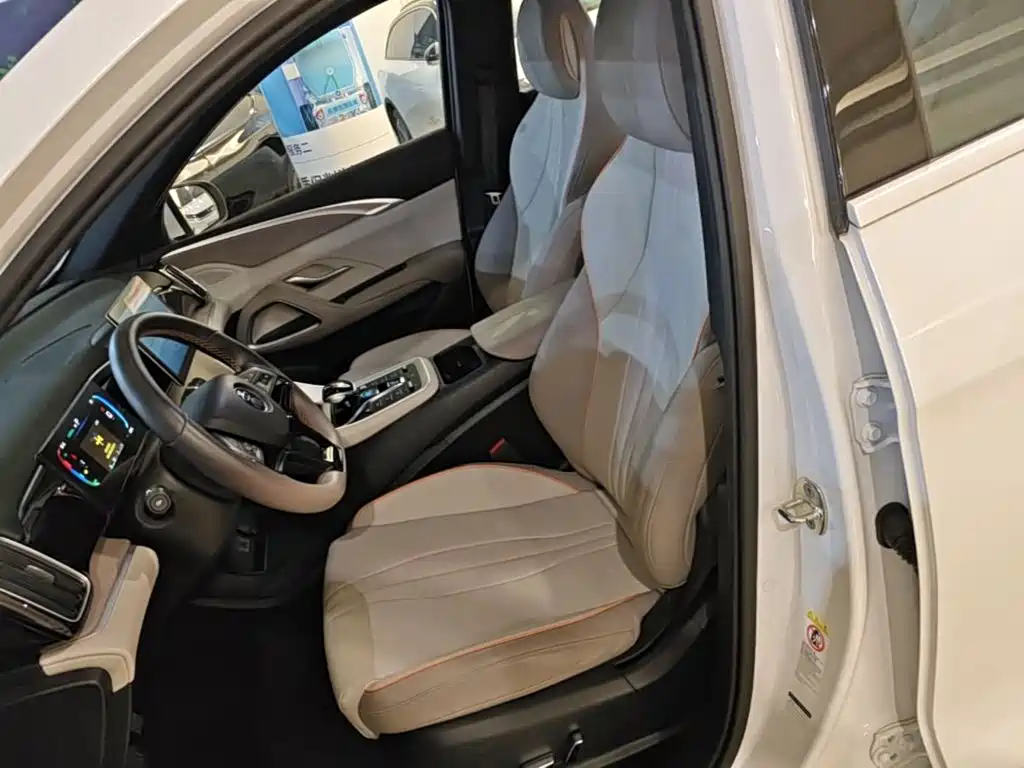 BYD Pro New Energy — миниатюра 15