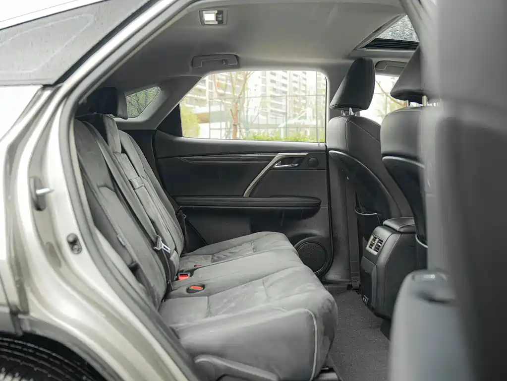 Lexus RX 2020 — фото 14