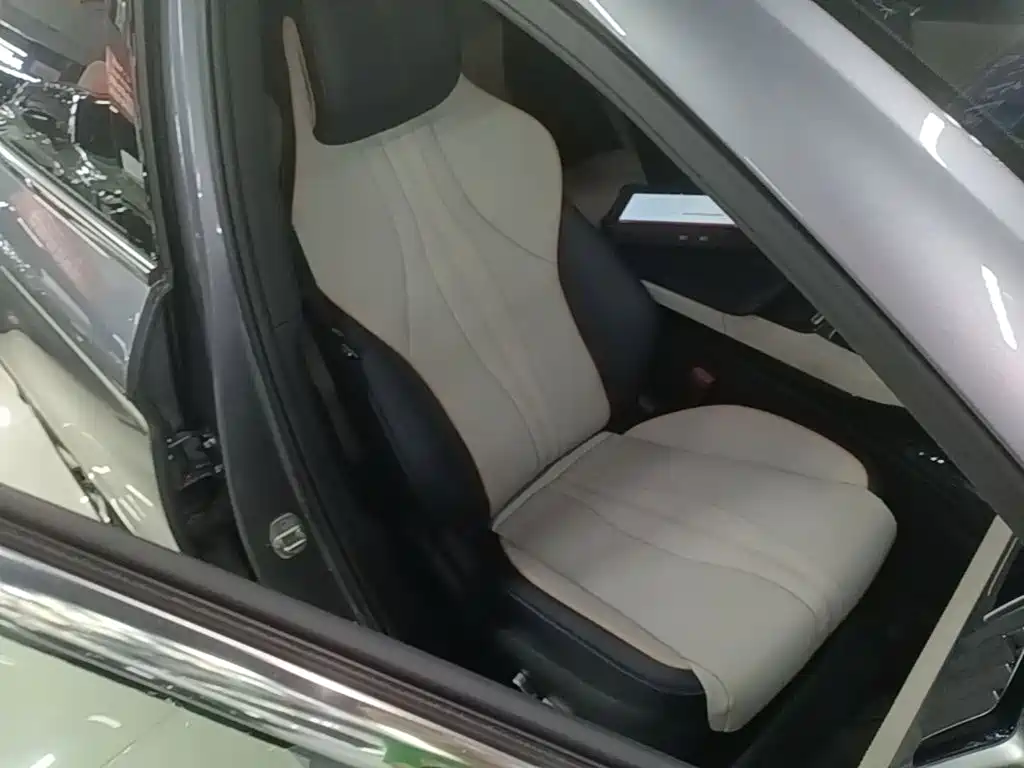 BYD PLUS New Energy — миниатюра 25