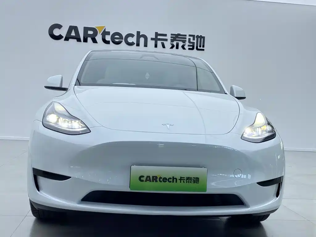 Tesla Model Y — миниатюра 10