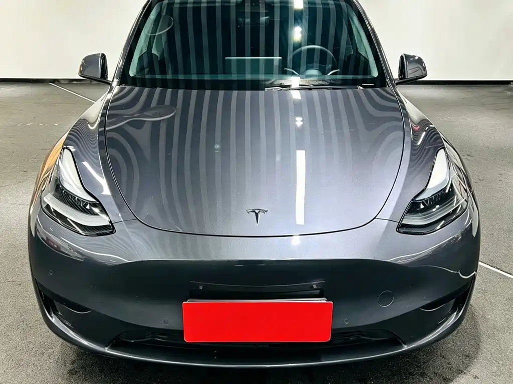 Tesla Model Y — миниатюра 2