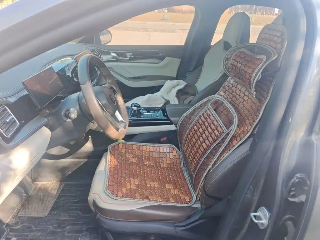 BYD Qin PLUS — миниатюра 11