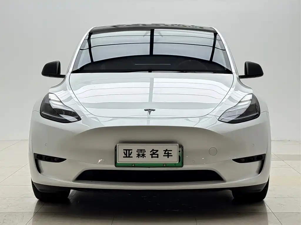 Tesla Model Y — миниатюра 2