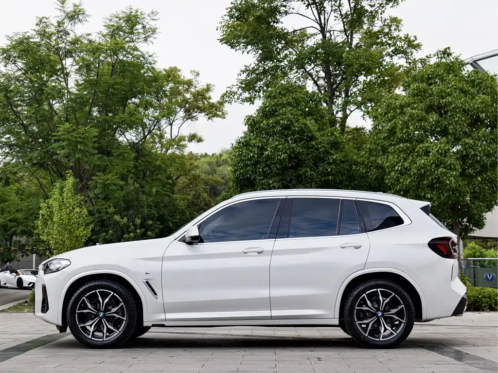 BMW X3 — миниатюра 7