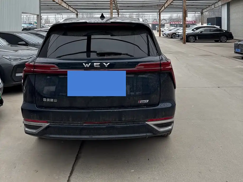 WEI PAI WEI BRAND BLUE MOUNTAIN