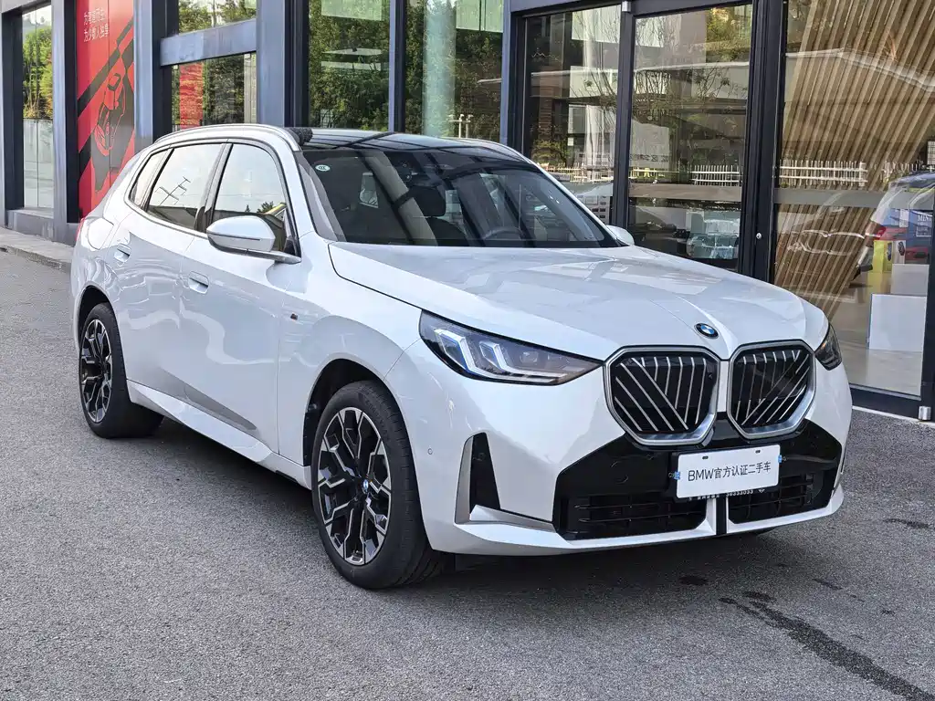 BMW X3 — миниатюра 3