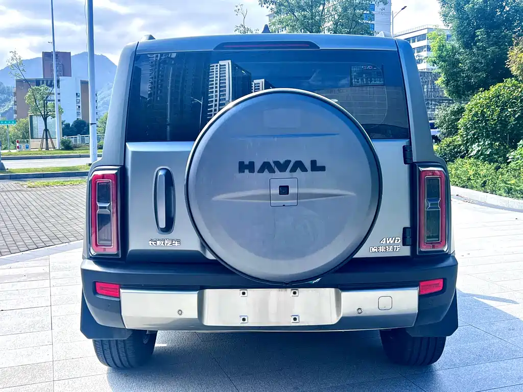 Haval Menglong Petrol — миниатюра 8