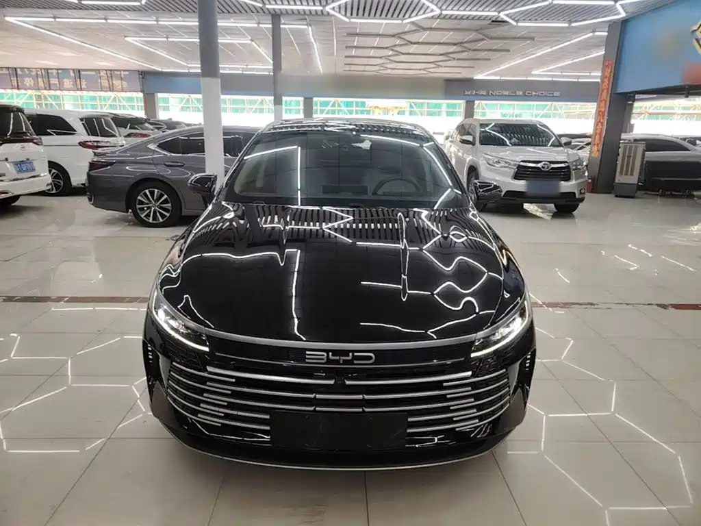BYD Destroyer 05 — миниатюра 3