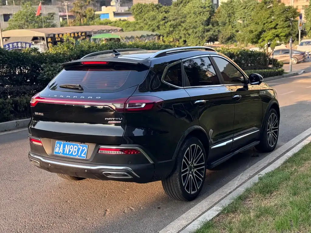 Leopaard Mattu — миниатюра 12