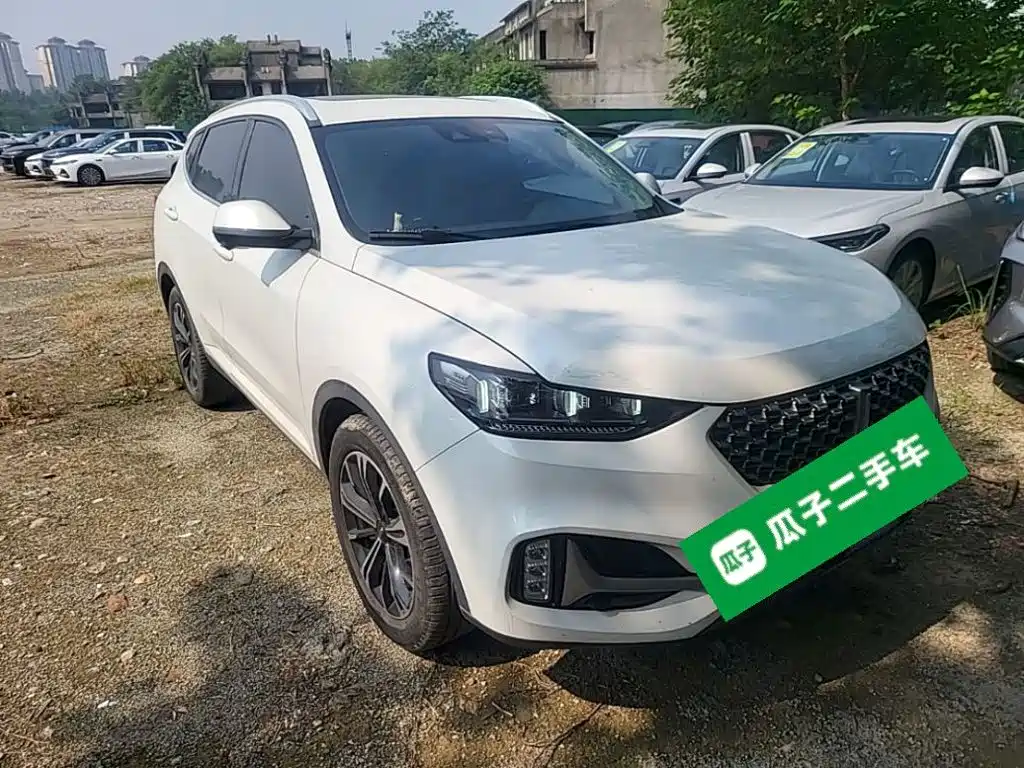 Wey Wey VV6 — миниатюра 6