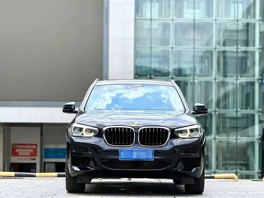 BMW X3 — миниатюра 2