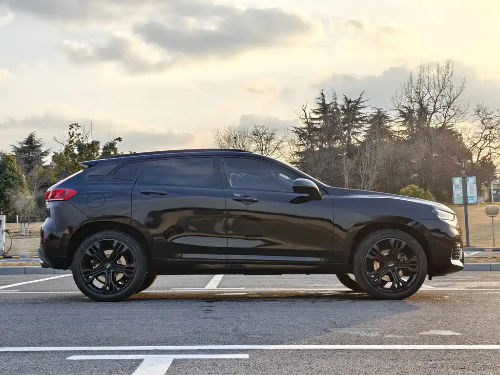 WEI PAI WEI BRAND VV7