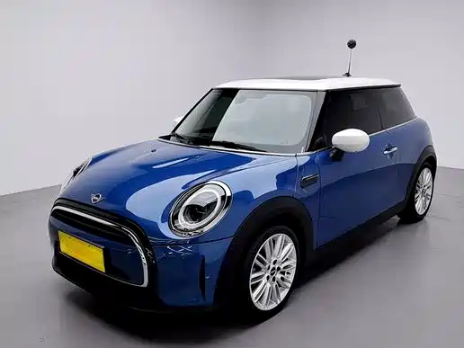 Mini Mini 2021