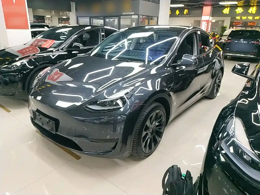 Tesla Model Y — миниатюра 2