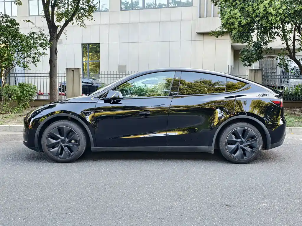 Tesla Model Y — миниатюра 4