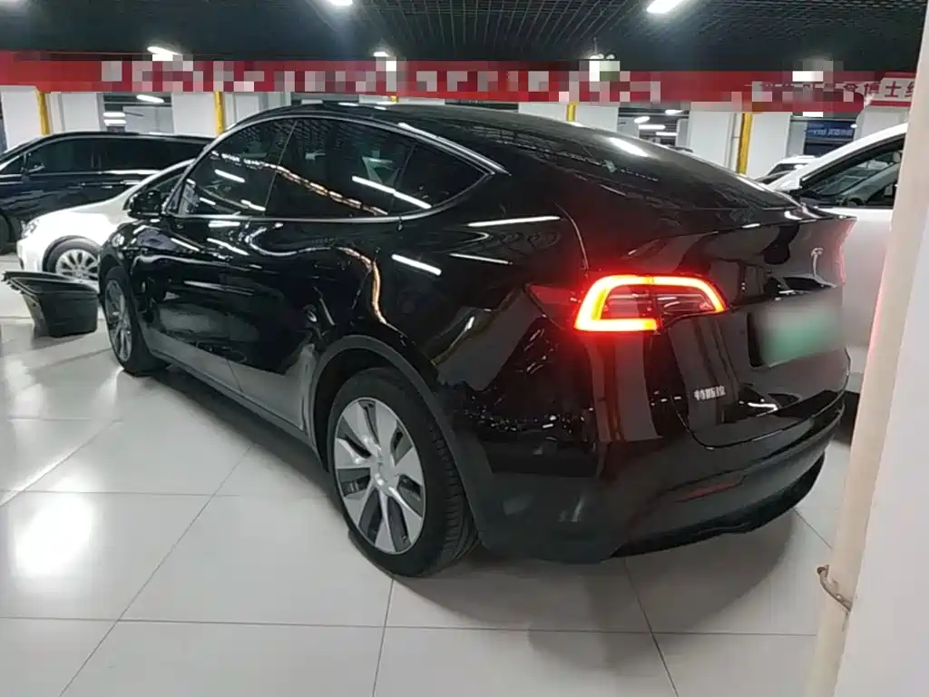 Tesla Model Y — миниатюра 5