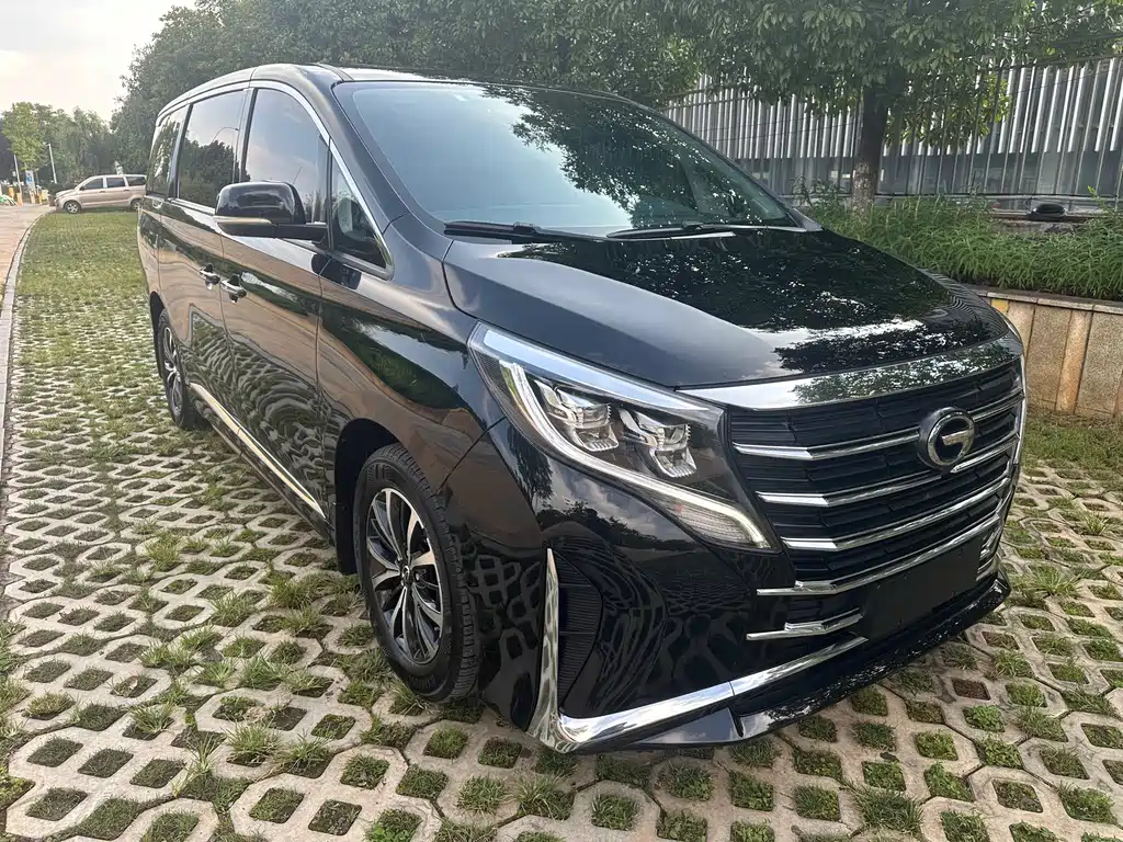 GAC Motor Trumpchi M8 — миниатюра 3