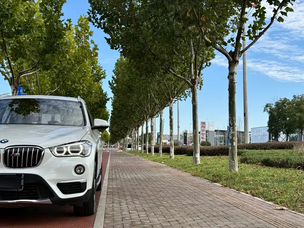 BMW X1 — миниатюра 5