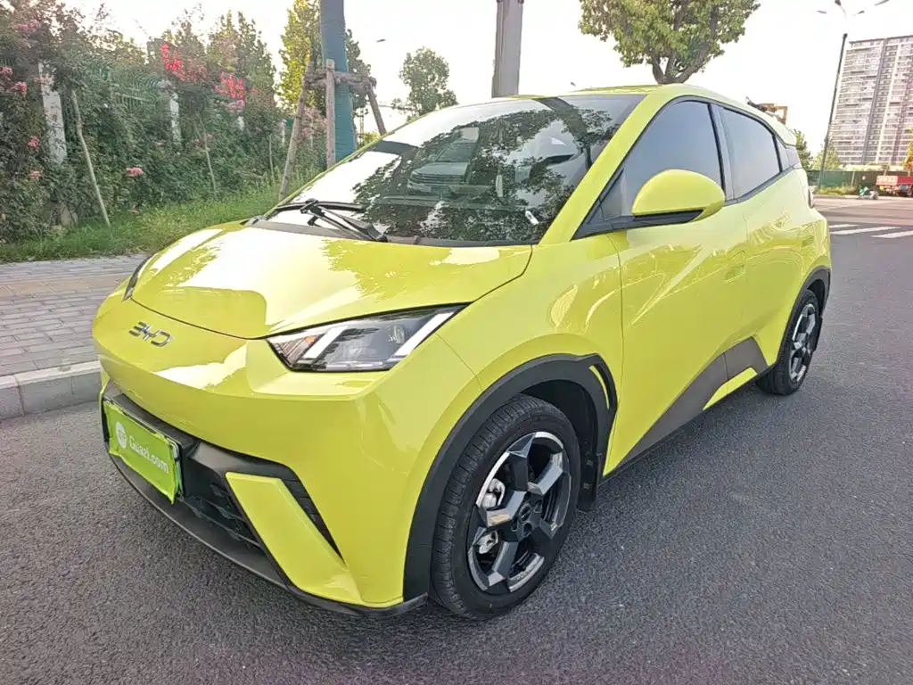 BYD Seagull