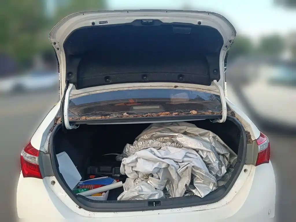 Toyota Corolla — миниатюра 20