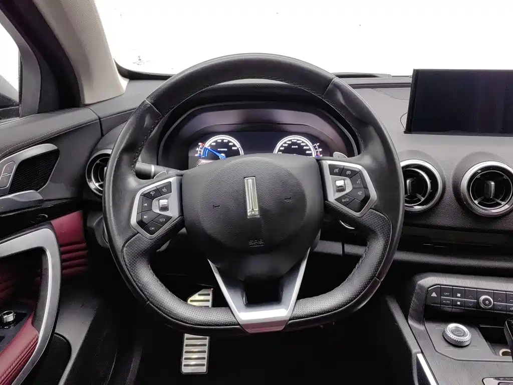 Wey Wey P8 — миниатюра 11