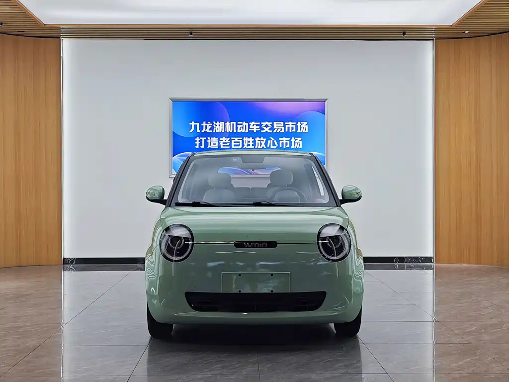 Qiyuan Lumin — миниатюра 2