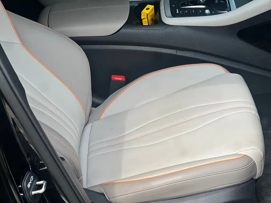 BYD Pro New Energy - фото 6