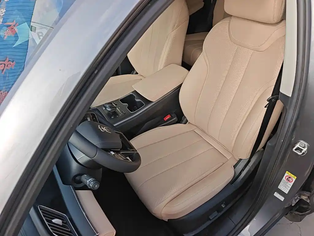 BYD Pro New Energy — миниатюра 15