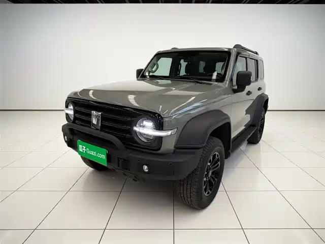 2023 TANK 300