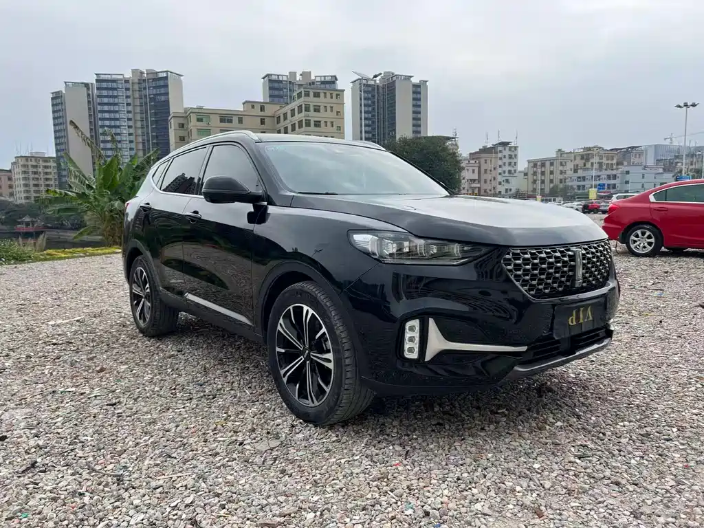 WEI PAI WEI BRAND VV6