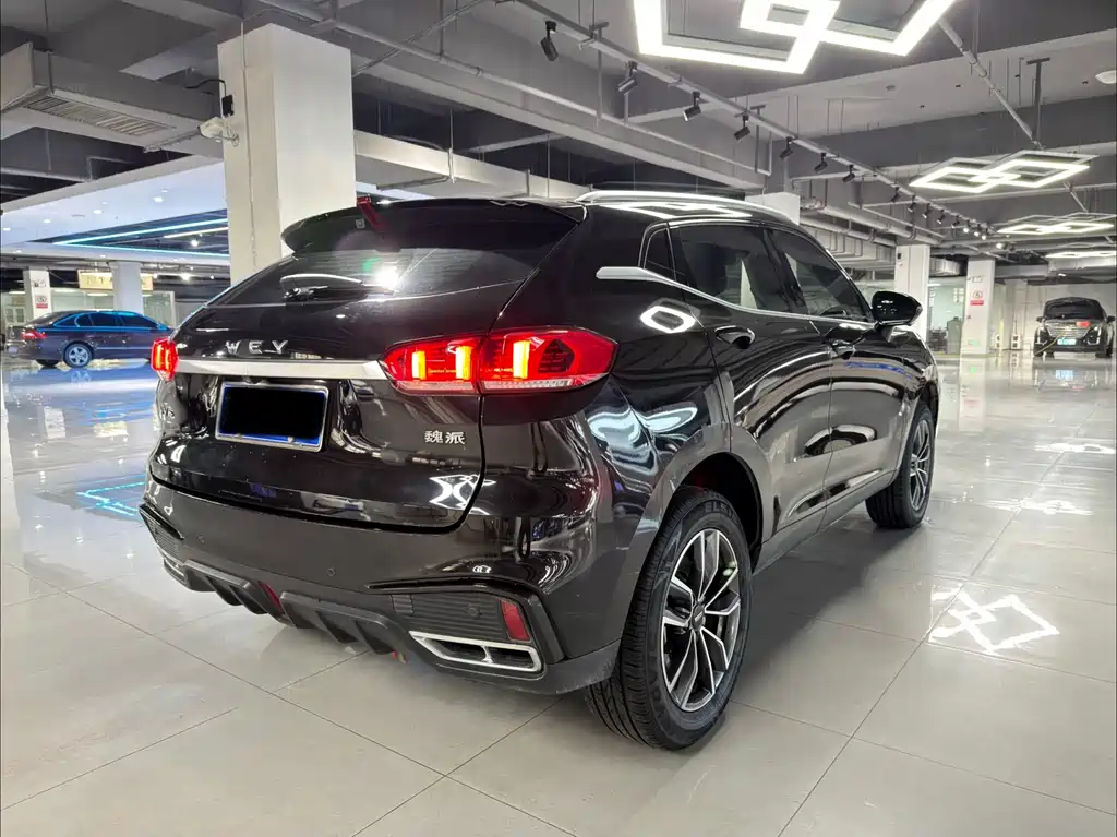 WEI PAI WEI BRAND VV5