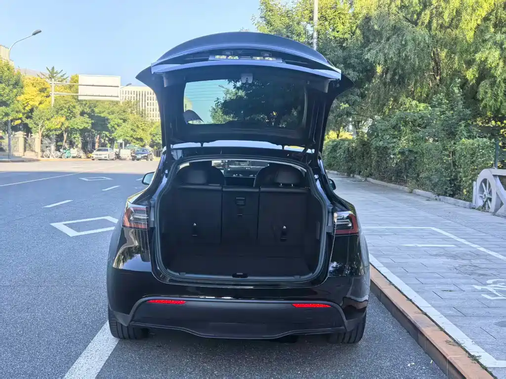 Tesla Model Y — миниатюра 8