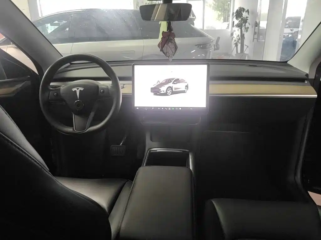 Tesla Model Y — миниатюра 10