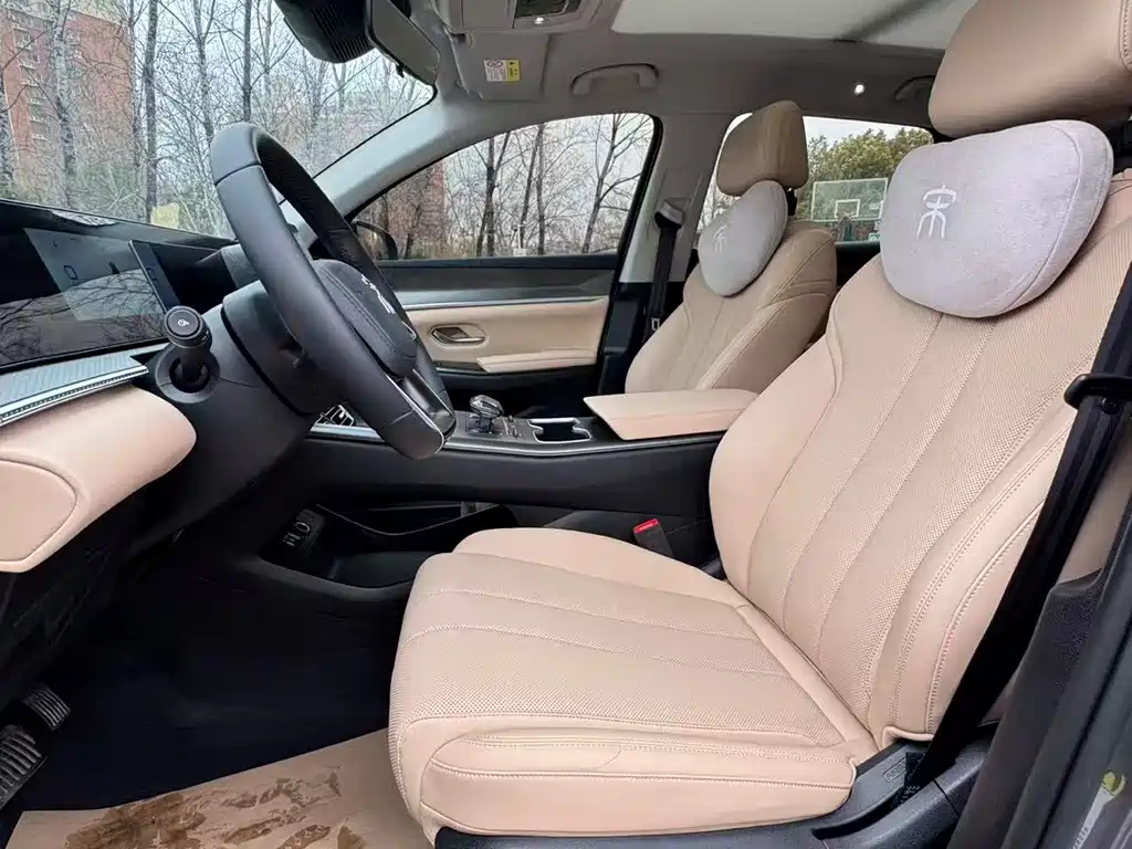 BYD SONGJIANG NEW ENERGY