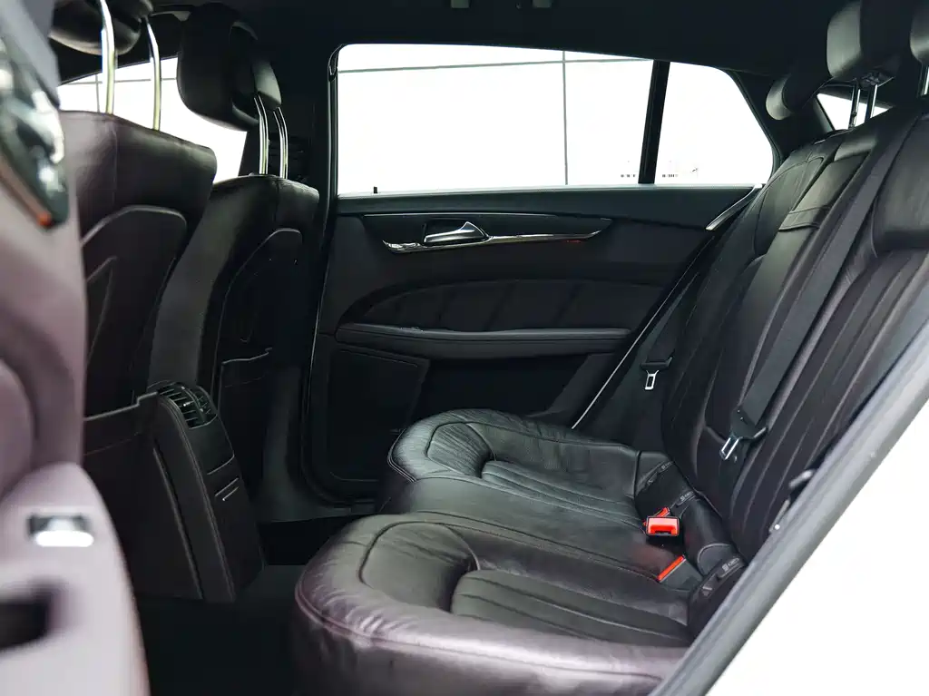 Mercedes-Benz CLS CLS 350 Shooting Brake Fashion Type, фото 6