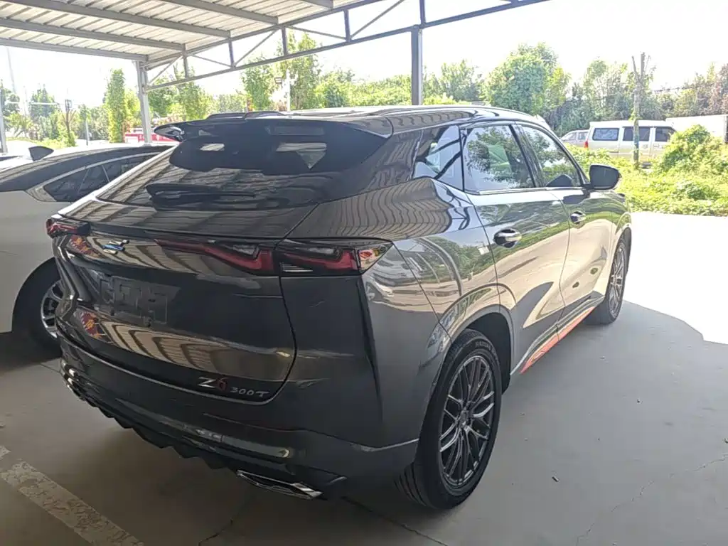 Oshan Oushang Z6 — миниатюра 7