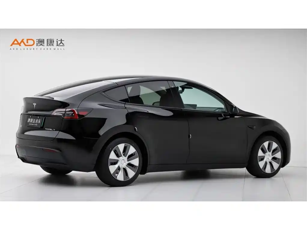Tesla Model Y — миниатюра 3