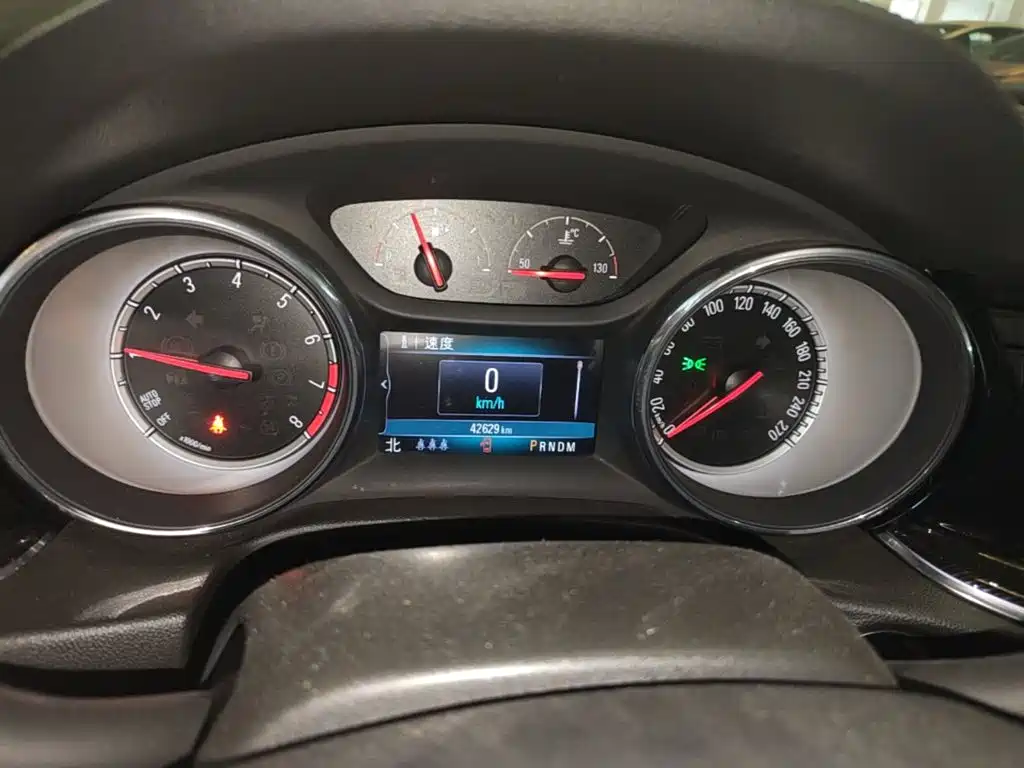Buick Regal — миниатюра 12