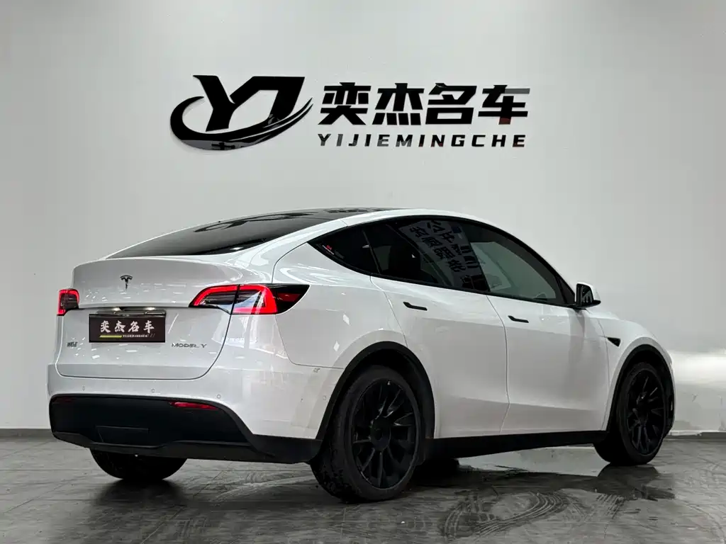 Tesla Model Y — миниатюра 7