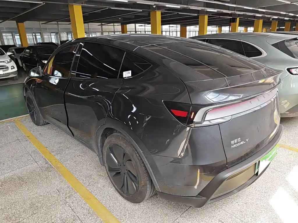 Tesla Model Y — миниатюра 5