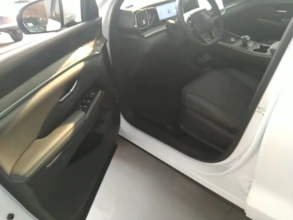 BYD Pro New Energy — миниатюра 16